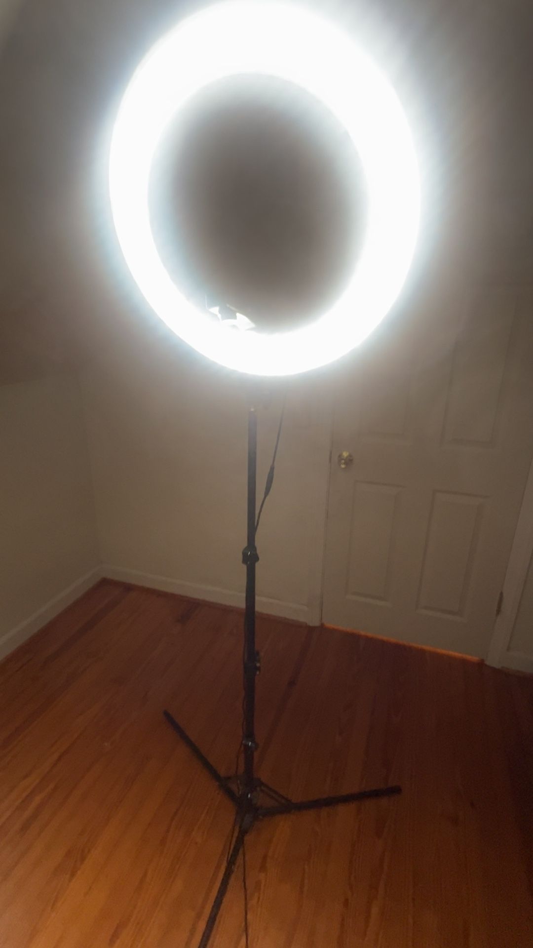 19 Inch Ring Light with Stand & Phone Holder – 55W 5500K Professional Ring Light