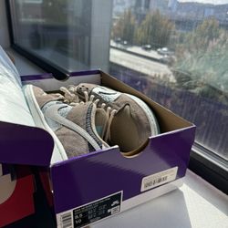 Nike SB Dunk Big Money Savings