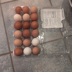 Fresh Free Range Eggs For Sale $7/Dozen