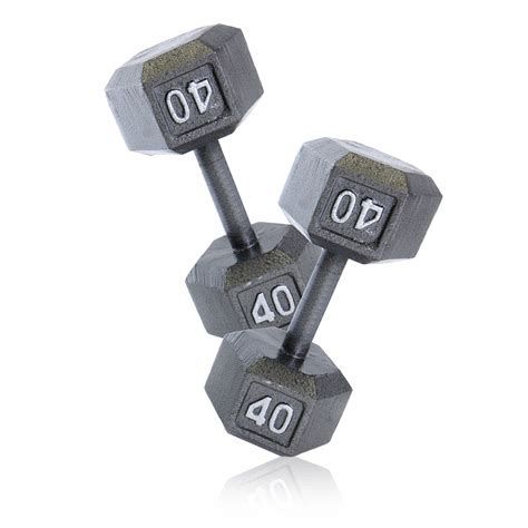 40 lb Dumbbells (2)