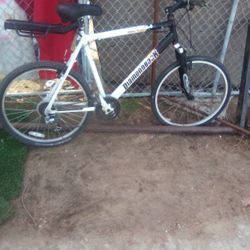 Diamondback Response Black And White