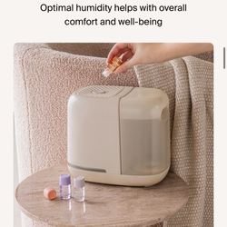 Canopy Humidifier in Jade