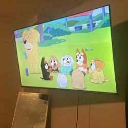 50 Inch Tv