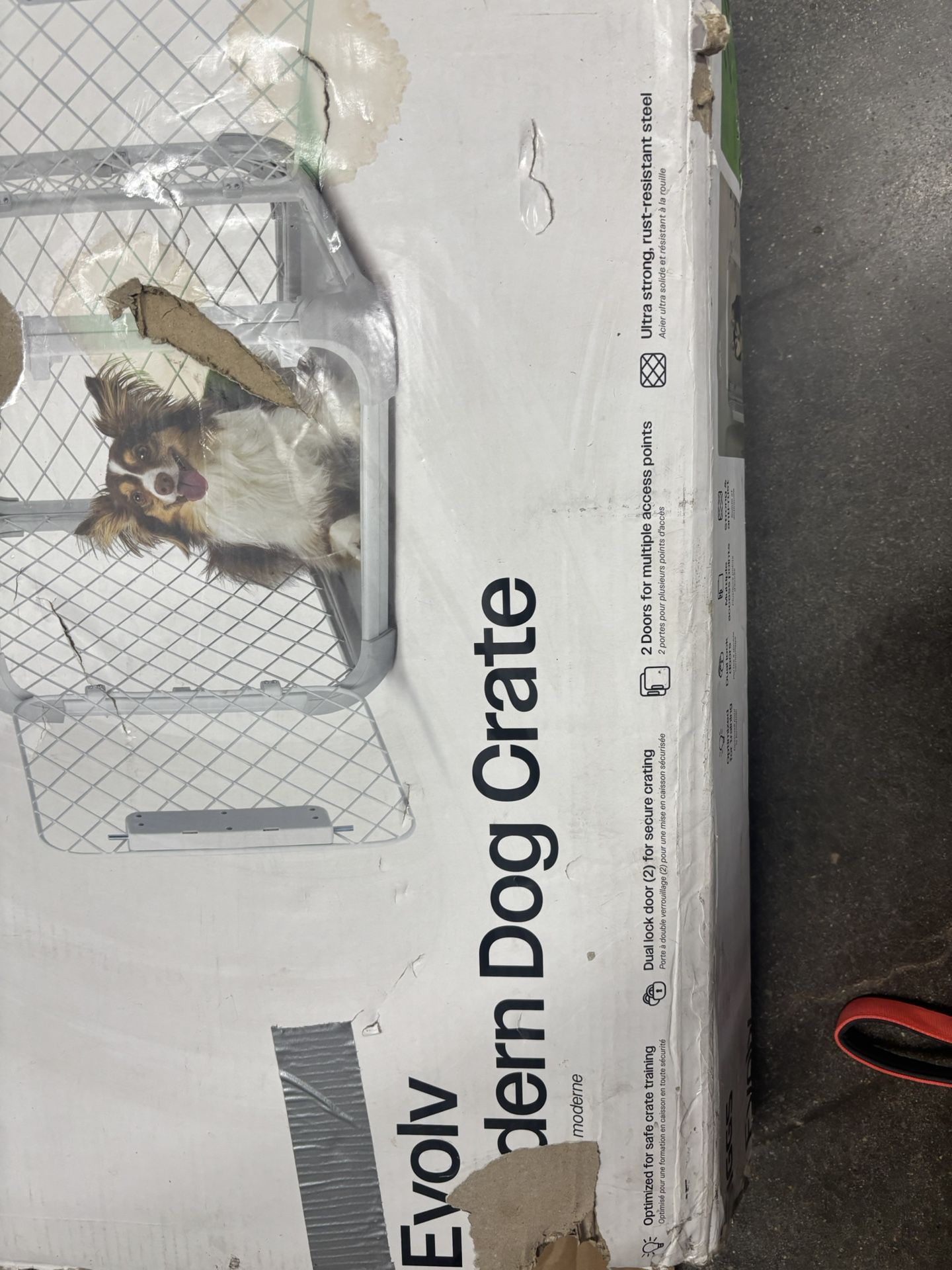 Diggs Evolv Modern Dog Crate 24”