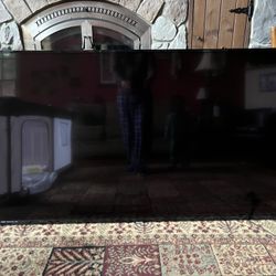 Phillips 65” LCD TV