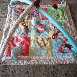 Skip Hop activity play mat