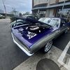 AngelM59