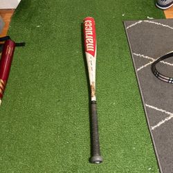 Marucci Cat 8 Drop 5 31 inch