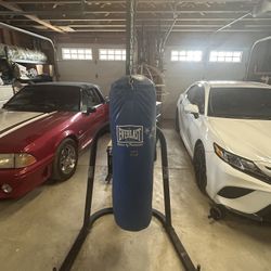 Everlast MMA Martial Arts 100lb Heavy Punching Bag with Stand