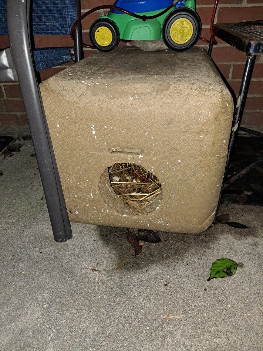 Insulated Cat Shelter 