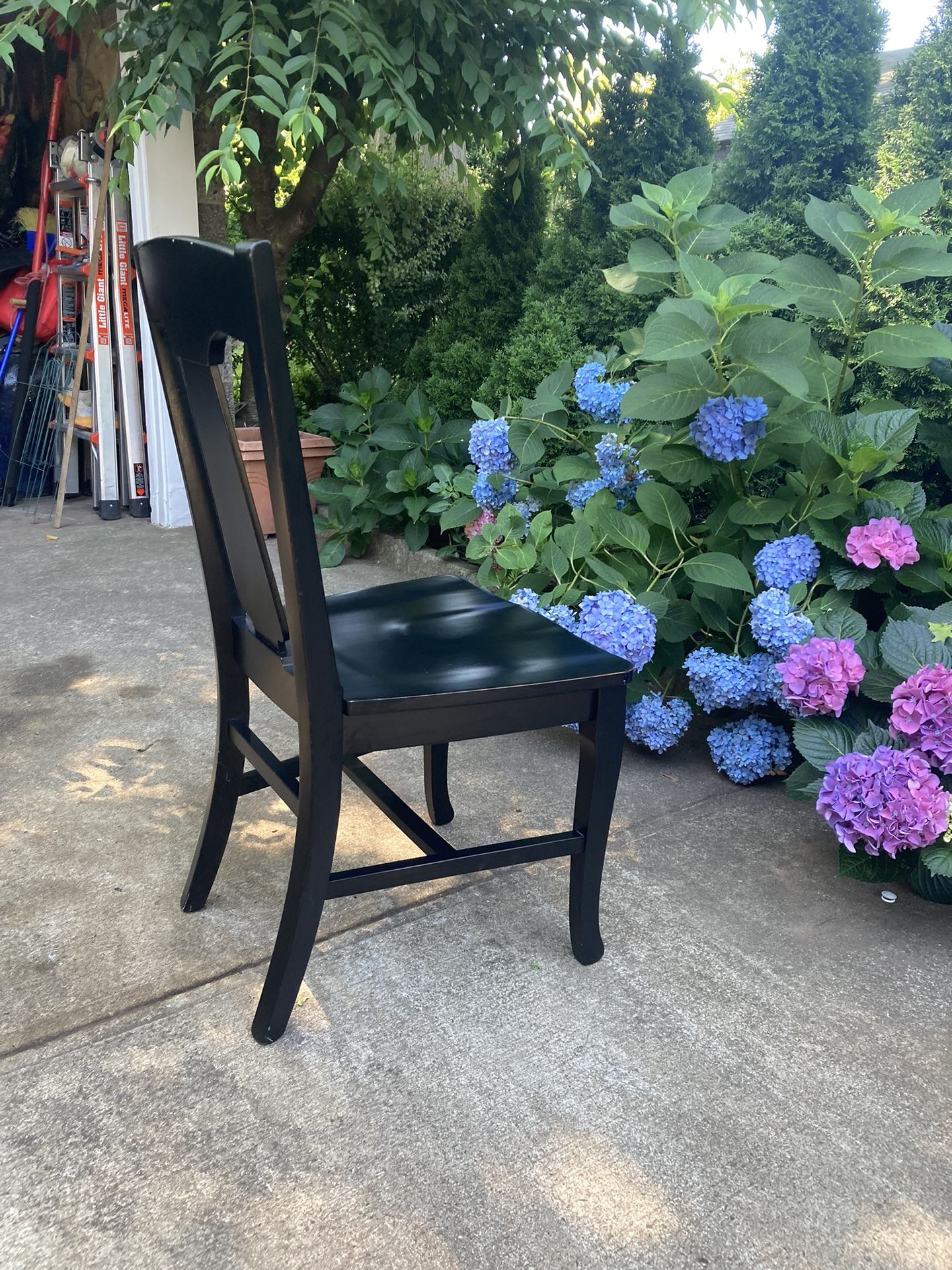 Mahogany, black, solid wood share