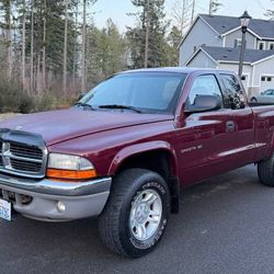 2001 dodge Dakota