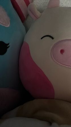 SQUISHMALLOWS!!!!