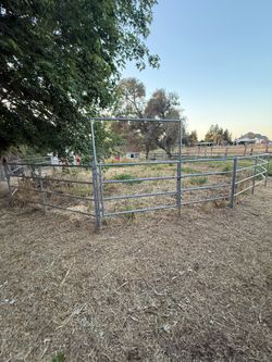 Metal fencing for horse Carole