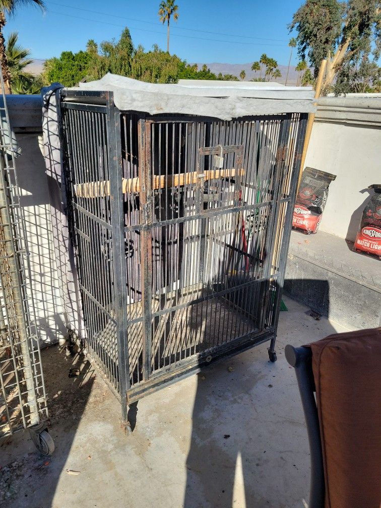 Bird Cage