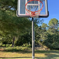 Only $30.00!  Basketball Net And Stand! Come This Weekend!
