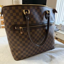 Louis Vuitton Damier Ebene Saleya GM