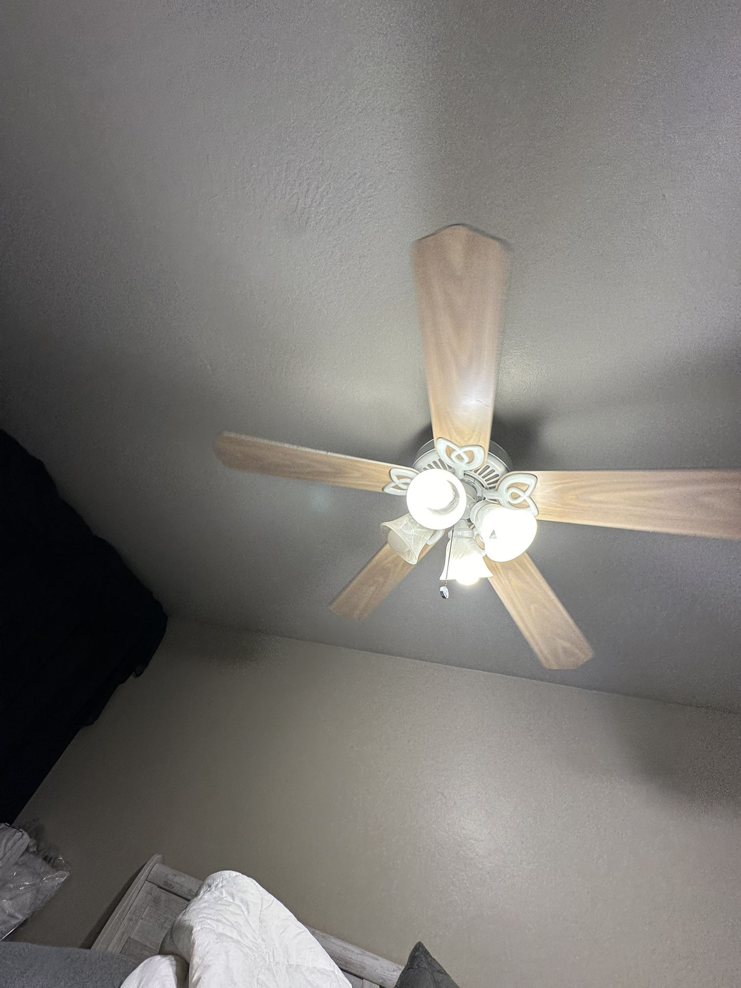 Ceiling Fan
