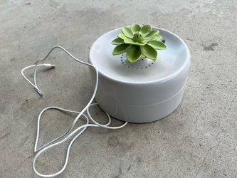 Flower Succulent USB Pet Fountain