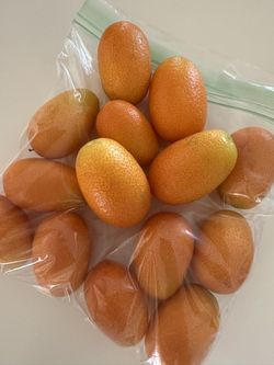Sweet Kumquat fruit: $1 per a bag(15 pieces)