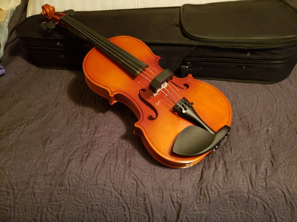 Violin