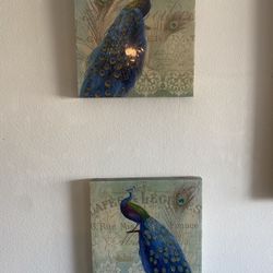  Peacock Portraits!!! BUY NOW!!!