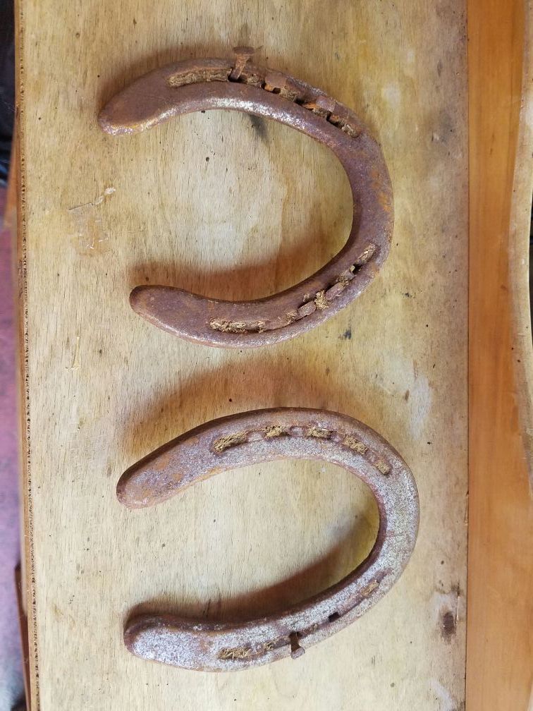 Antique horse shoes