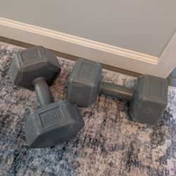 Two 10 lbs Dumbells
