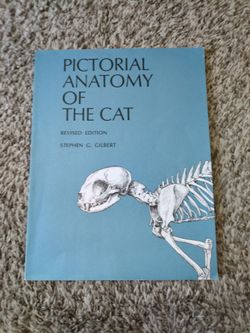 Pictorial Anatomy of the Cat - Stephen Gilbert