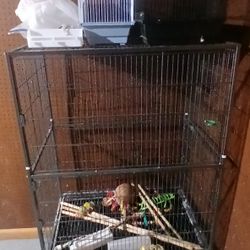 Bird Cage Check Description