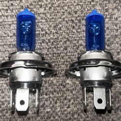 H4 Halogen Bulb 