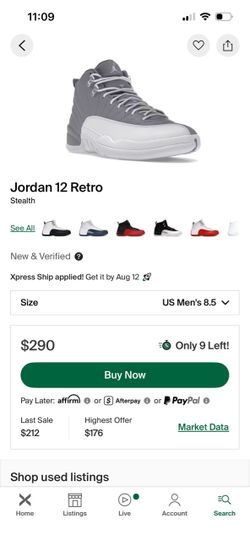 (worn) jordan 12 retro size 8.5