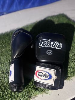 FairTex BGV1 Boxing /Muay Thai Boxing gloves