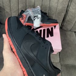 Pigeon Dunks Size 9.5