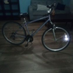 Schwinn 