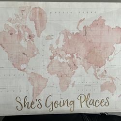 Pink Wrapped Canvas Art World Map