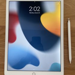 Apple iPad Pro, 12.9 inch, 128G, with Case and Apple Pencil