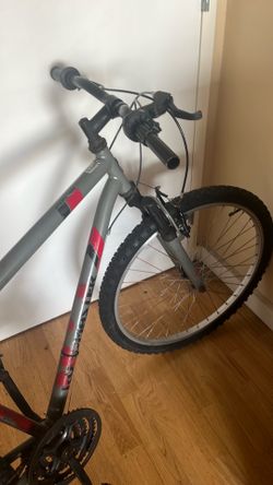 road master bike gray