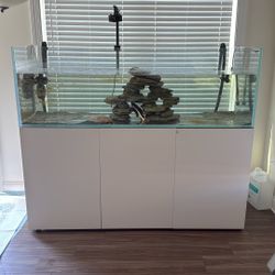 Custom 275 Rimless Fish Tank 