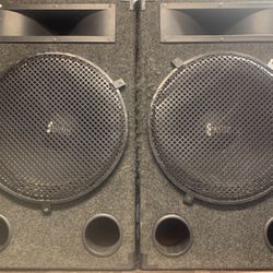Eminence Loudspeakers 18” W/ Peavey Amplifier 