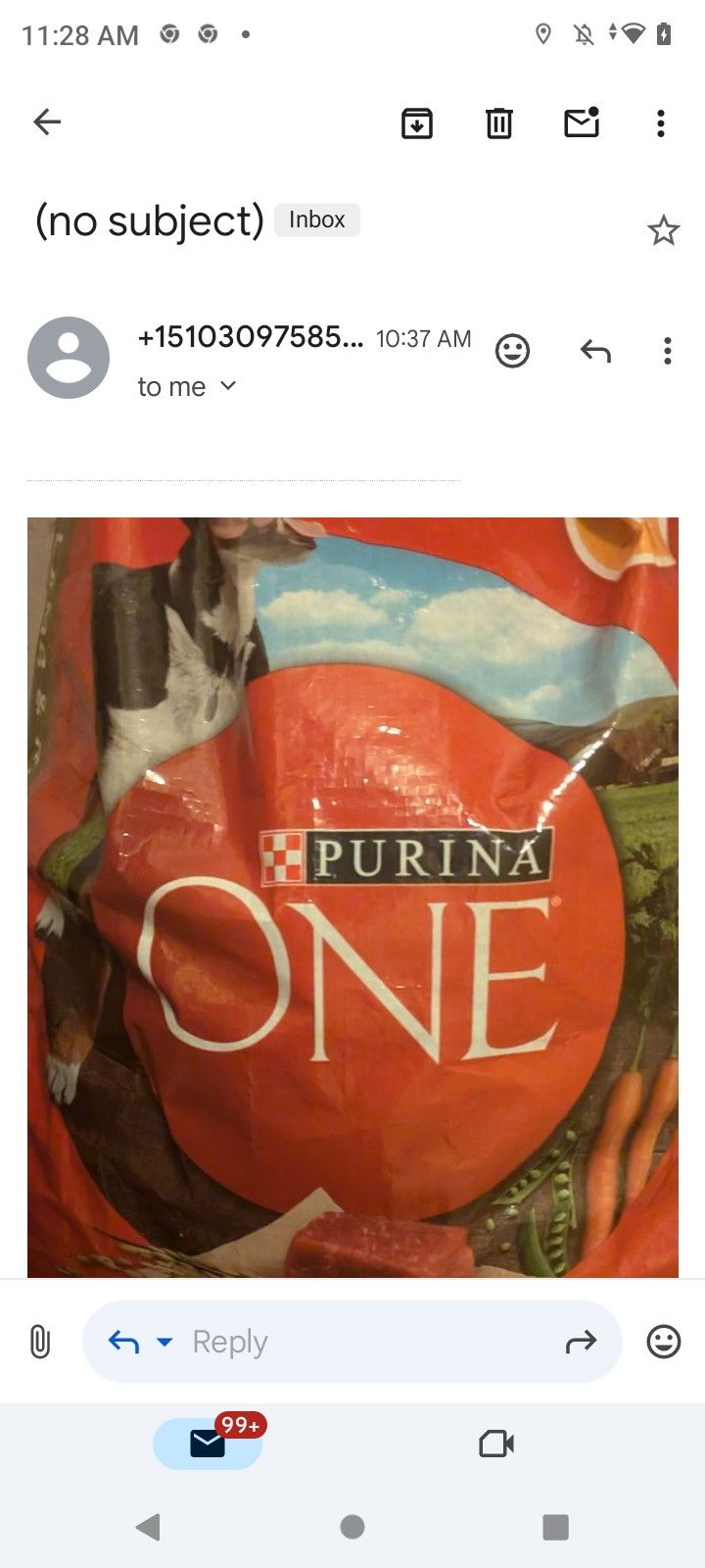 PURINA ONE 40 POUNDS DOG FOOD