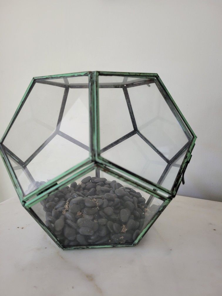 Glass And Metal Plant Terrarium 