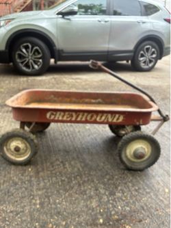 Greyhound wagon