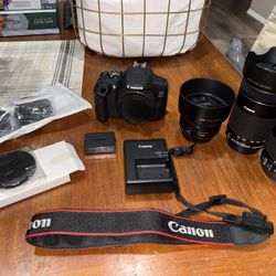 Canon Rebel T7 w/ Lenses