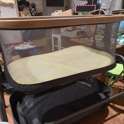 Bassinet Folds Flat And Goes In Carrying Case