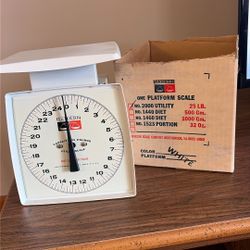 Hanson Platform Scale