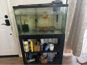 Aquarium with stand
