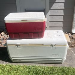 Igloo Coolers