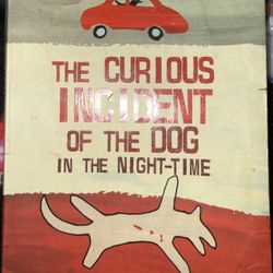 The Curious Incident Of The Dog In The Night 