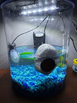 Fish tank
